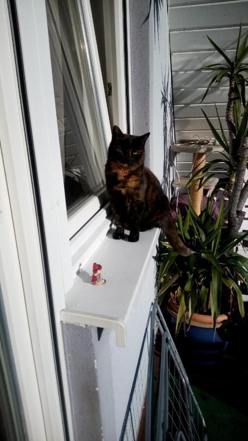 Ferienwohnung Schwalbennest Sommerach Zewnętrze zdjęcie