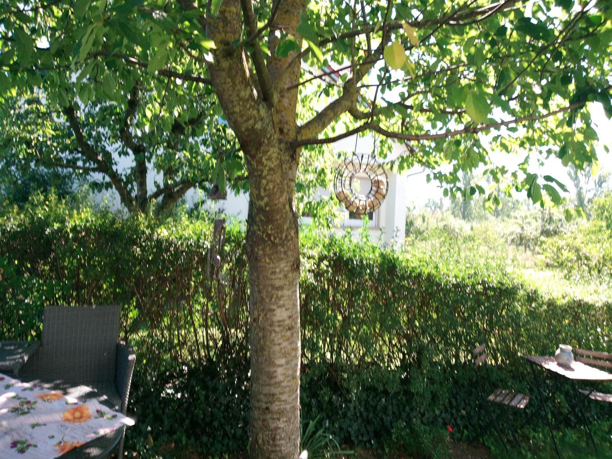 Ferienwohnung Schwalbennest Sommerach Zewnętrze zdjęcie